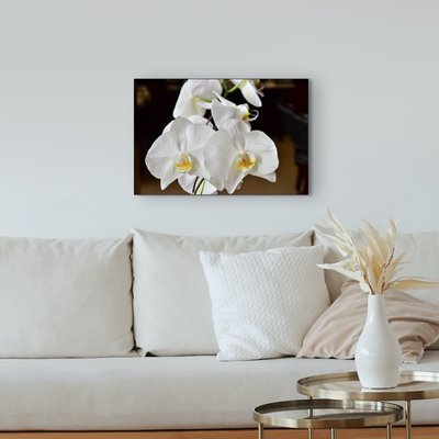 Canvas 16x24
