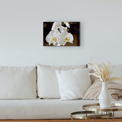 Canvas 12x18