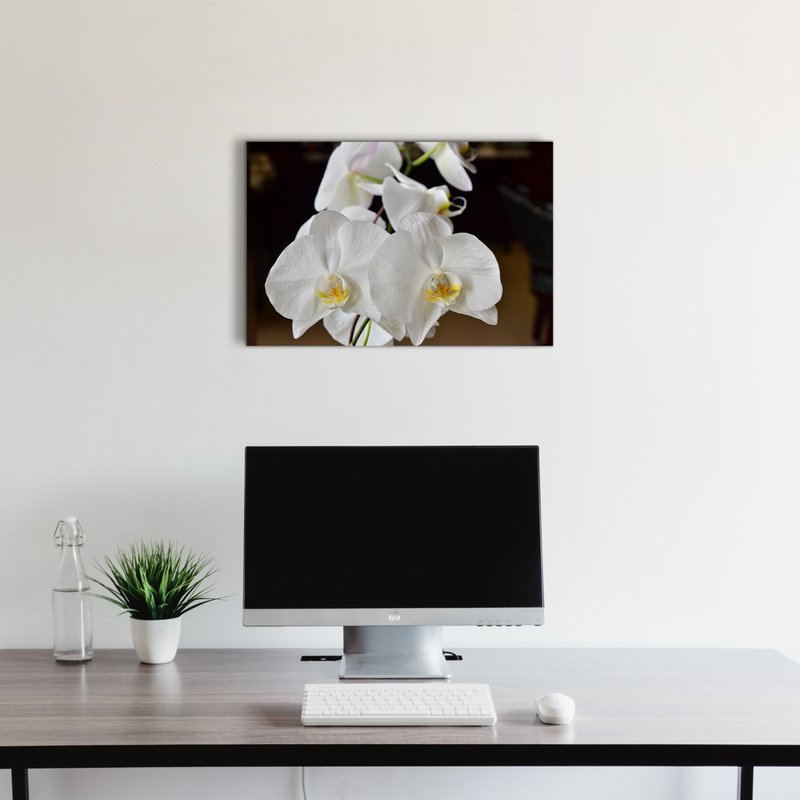 Canvas 16x24 3
