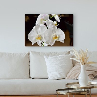 Canvas 20x30