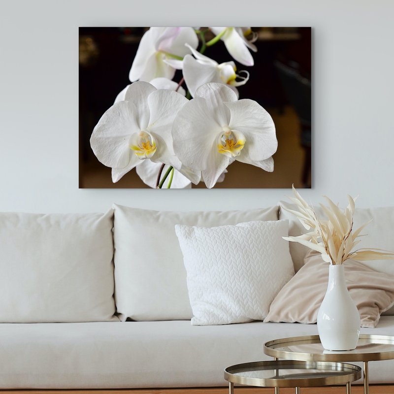 Canvas 24x36