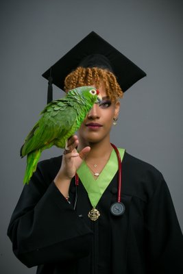 Paquete Universitario Toga