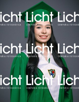 Paquete Dos IPA